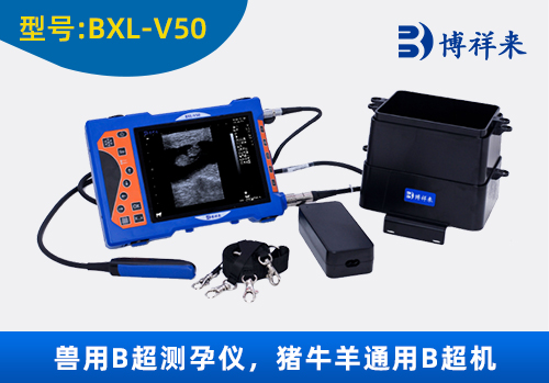 <b>新款博祥來獸用B超機BXL-V50</b>