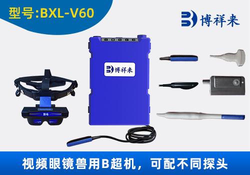 <b>博祥來護目鏡牛用B超機BXL-V60</b>