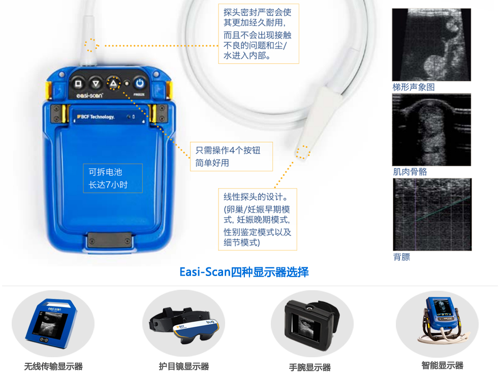 獸用B超機Easi-Scan