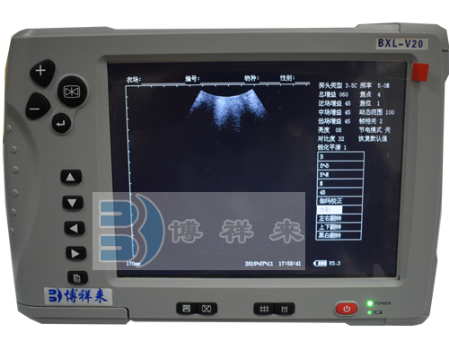 獸用B超