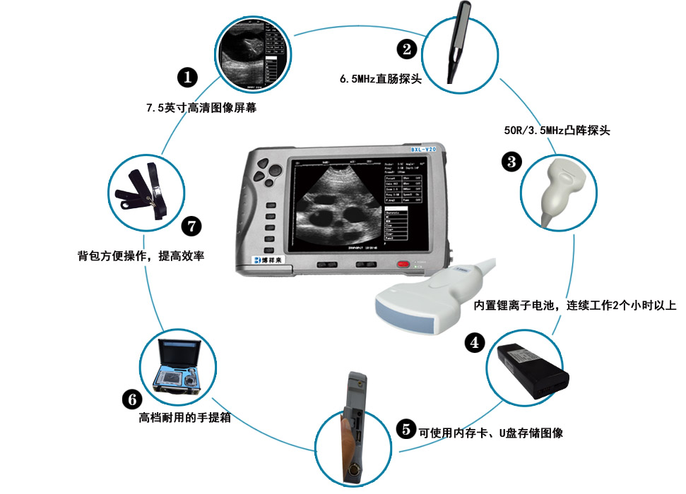 獸用B超BXL-V20