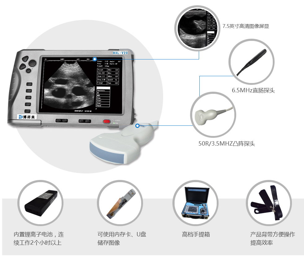 獸用B超BXL-V20