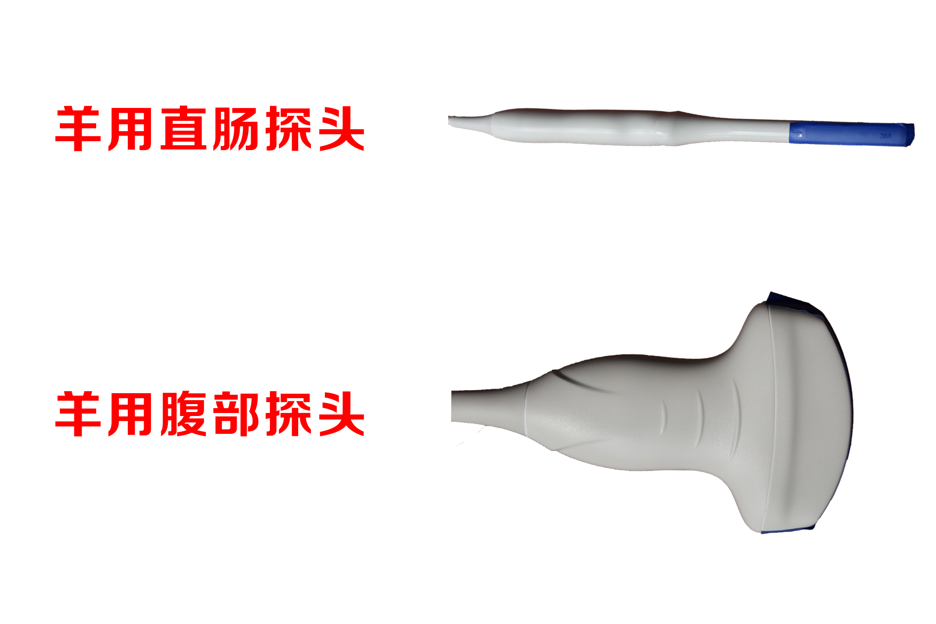 高清羊用B超機