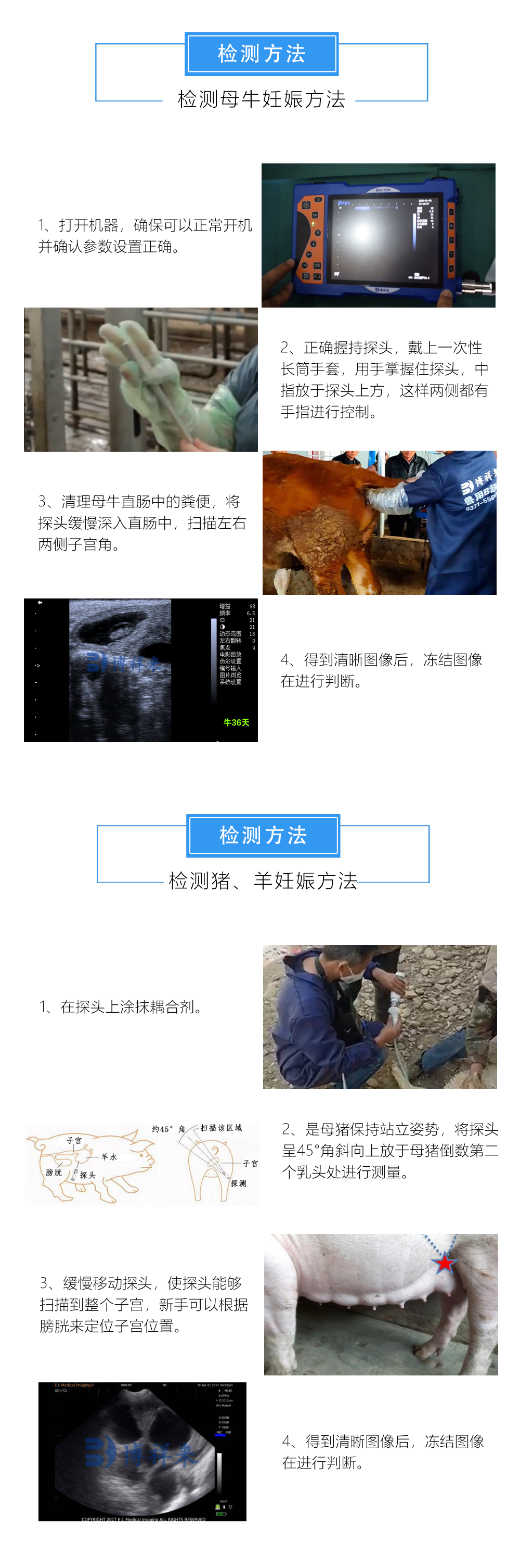 獸用B超機檢測方法