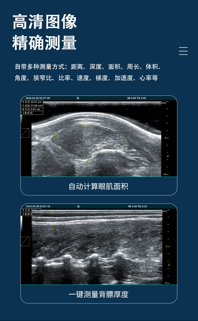 豬眼肌面積測定儀